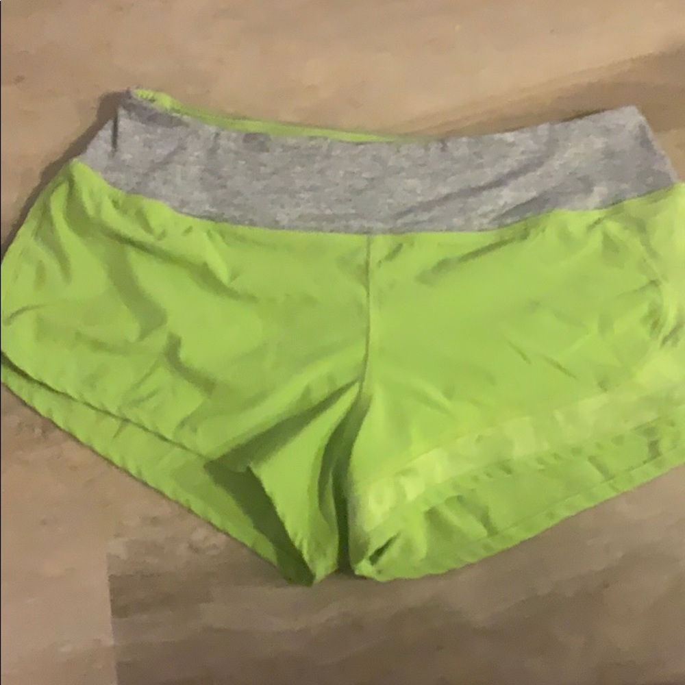 Rabbit Catch Me If You Can Shorts